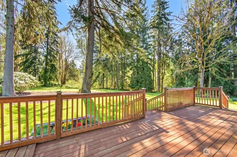 Back deck