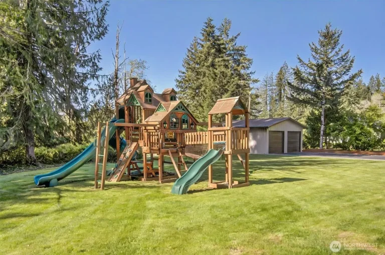 Playset in the yard