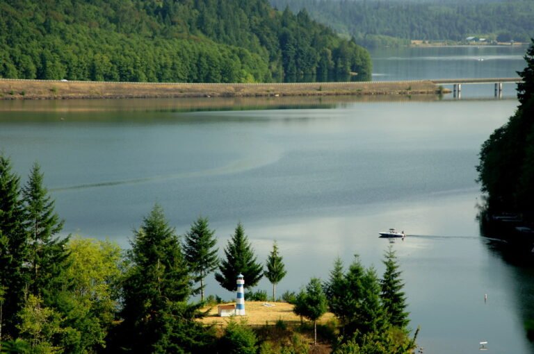 Mayfield Lake surrounded by evergreen forest, seen from the White Pass Scenic Byway