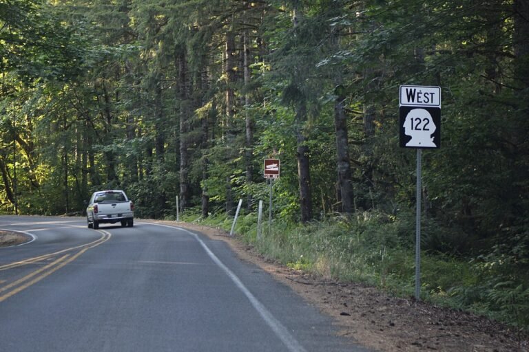 State Route 122 winding through evergreen forest near Mossyrock