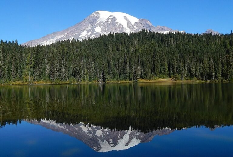 Snow-capped Mount Rainier mirrored in Reflection Lake