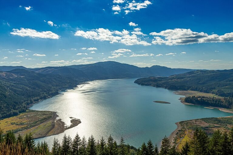 Riffe Lake winding between forested hills, seen from Dog Mountain